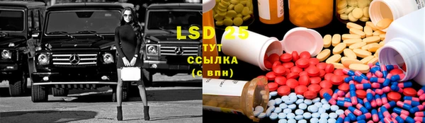 ПСИЛОЦИБИНОВЫЕ ГРИБЫ Магадан
