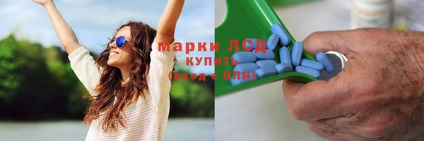 ПСИЛОЦИБИНОВЫЕ ГРИБЫ Магадан
