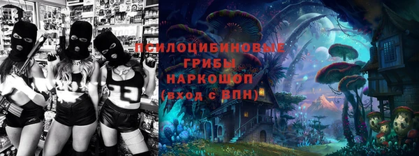 бошки Магас